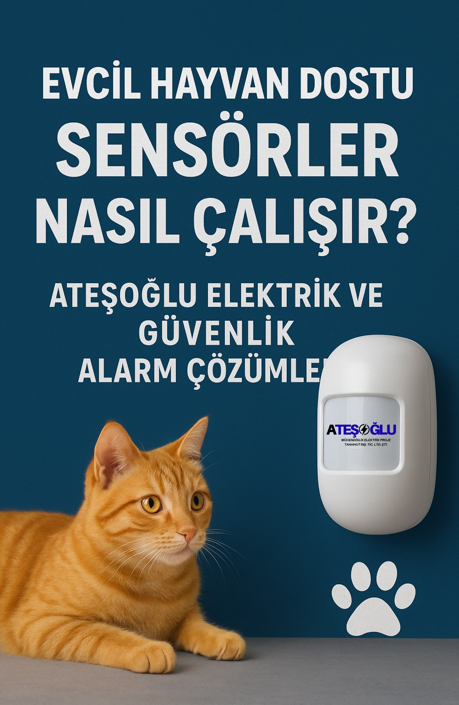 Evcil Hayvan Dostu Sensörler Nasıl Çalışır? | Ateşoğlu Elektrik ve Güvenlik ile Akıllı Alarm Çözümleri